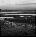 440 - wet land - YAO Hanjun - china